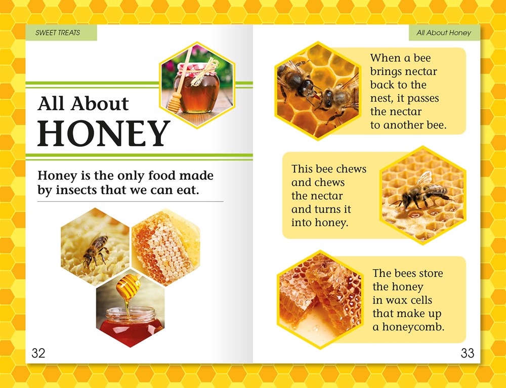 DK Readers L2: Amazing Bees