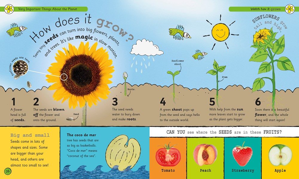 My Encyclopedia of Very Important Things: For Little Learners Who Want to Know Everything