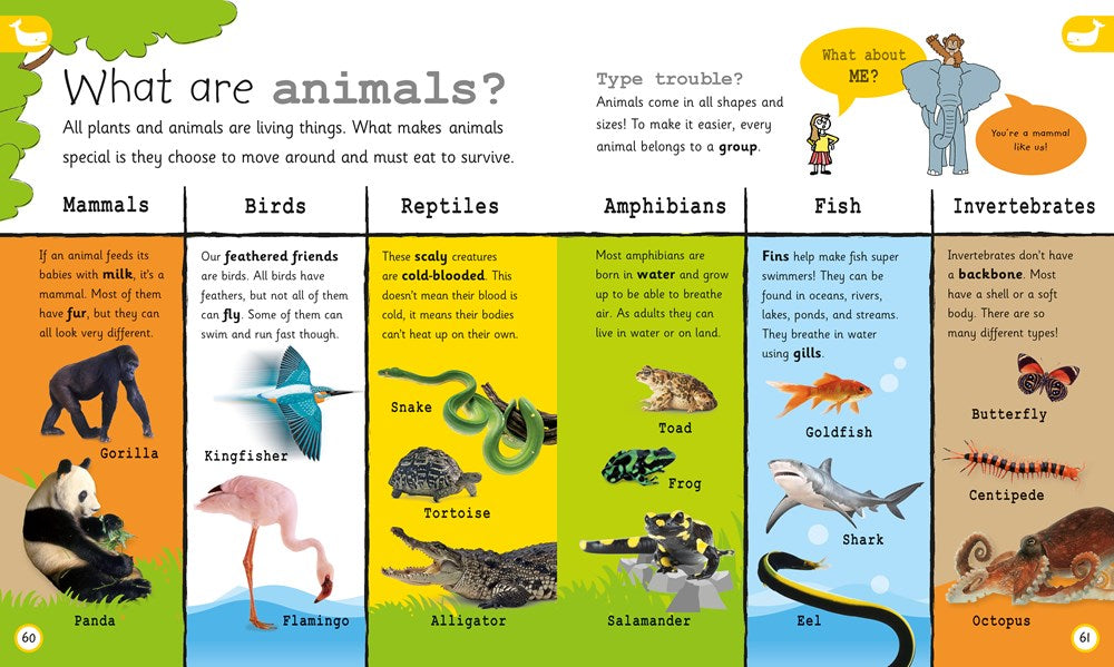 My Encyclopedia of Very Important Things: For Little Learners Who Want to Know Everything