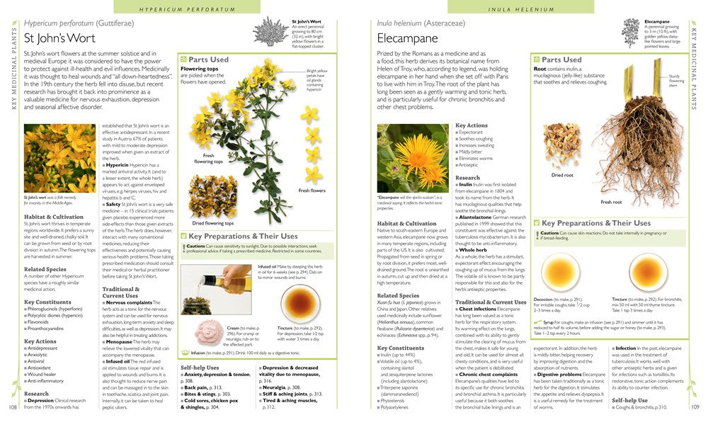 Encyclopedia of Herbal Medicine: 550 Herbs and Remedies for Common Ailments