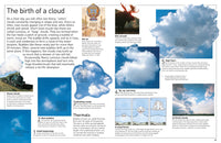 DK Eyewitness Books: Weather