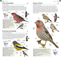 American Museum of Natural History: Pocket Birds of North America, Eastern Region