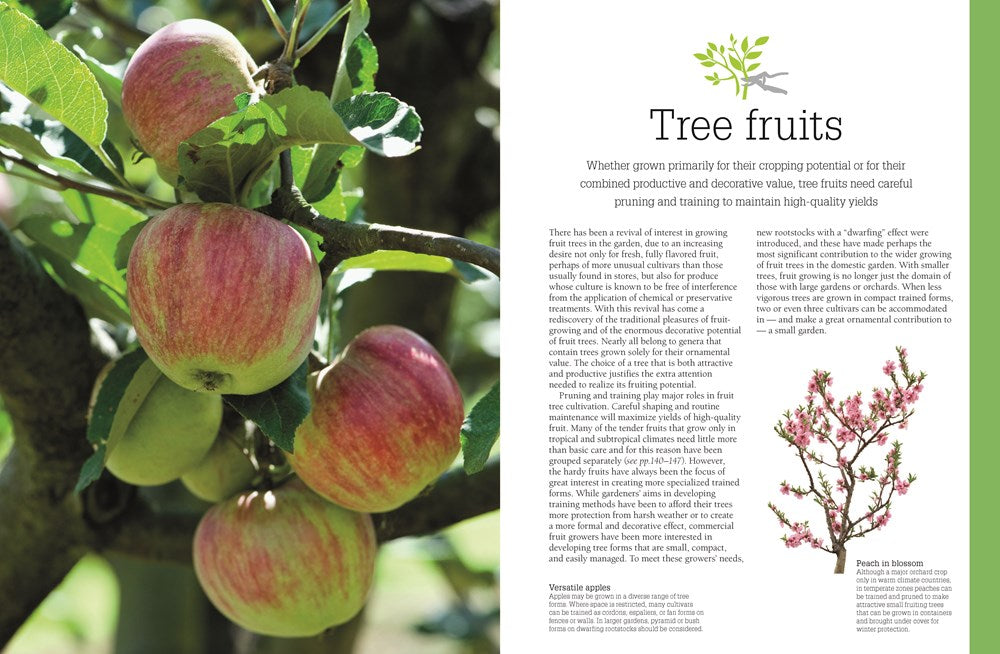 Pruning and Training, Revised New Edition