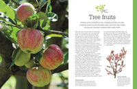 Pruning and Training, Revised New Edition