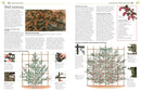Pruning and Training, Revised New Edition
