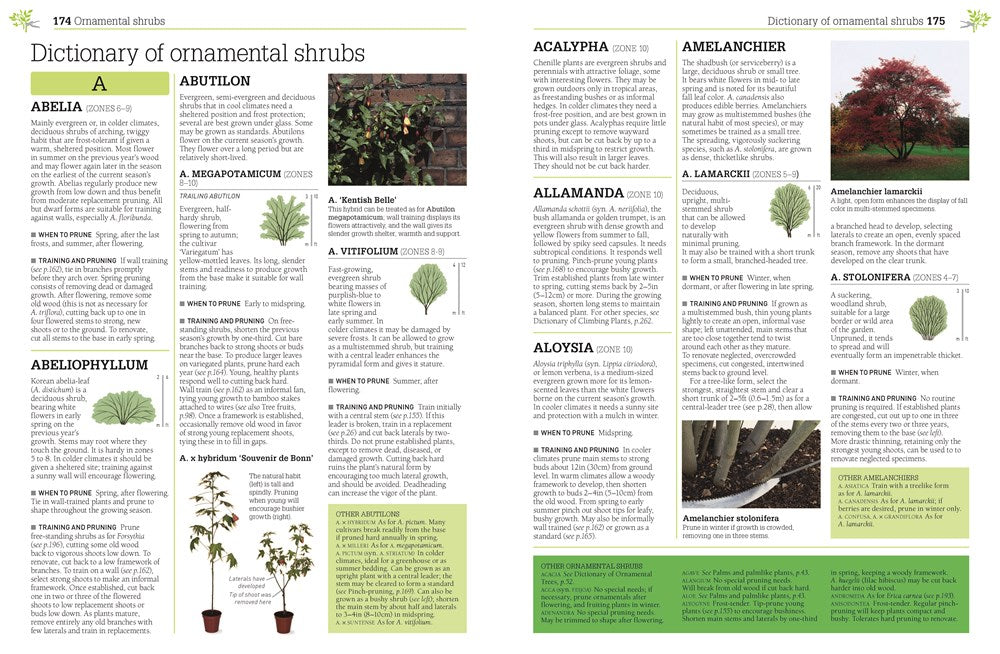 Pruning and Training, Revised New Edition