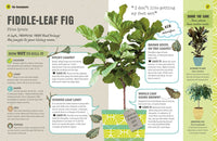 How Not to Kill Your Houseplant: Survival Tips for the Horticulturally Challenged