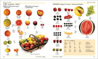 Mandarin Chinese-English Bilingual Visual Dictionary