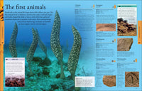 Dinosaurs: A Visual Encyclopedia, 2nd Edition  (2nd Edition)