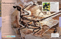 Dinosaurs: A Visual Encyclopedia, 2nd Edition  (2nd Edition)