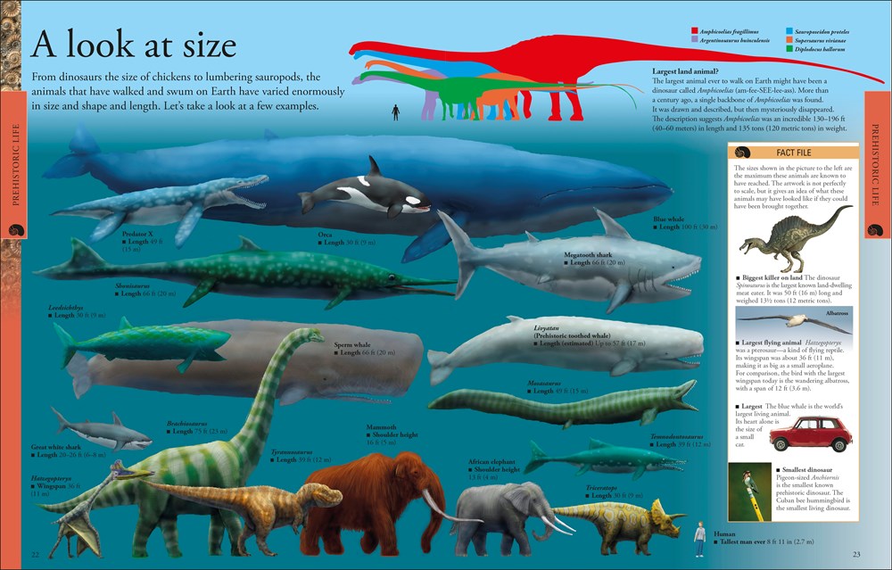 Dinosaurs: A Visual Encyclopedia, 2nd Edition  (2nd Edition)