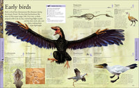 Dinosaurs: A Visual Encyclopedia, 2nd Edition  (2nd Edition)