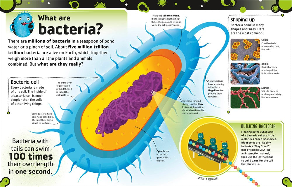 The Bacteria Book
