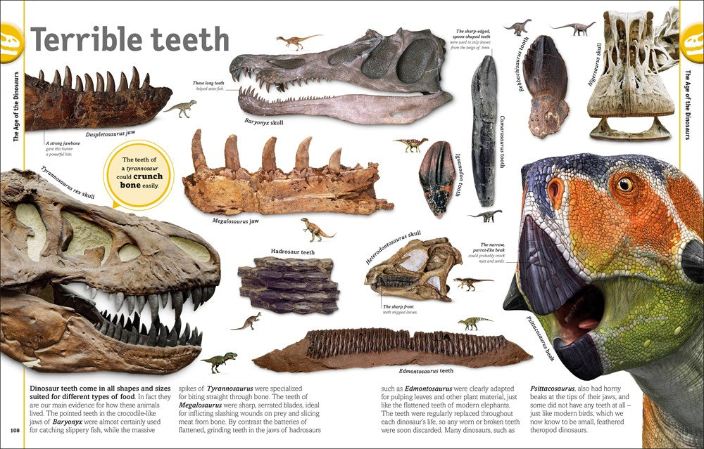 The Dinosaur Book: And Other Wonders of the Prehistoric World