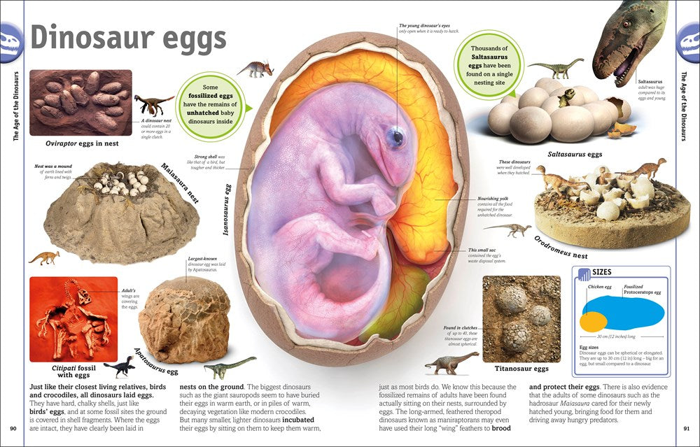 The Dinosaur Book: And Other Wonders of the Prehistoric World