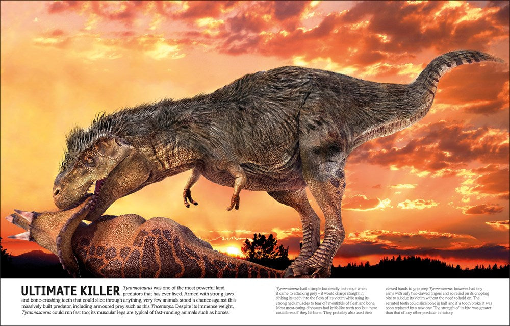 The Dinosaur Book: And Other Wonders of the Prehistoric World