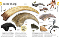 The Dinosaur Book: And Other Wonders of the Prehistoric World