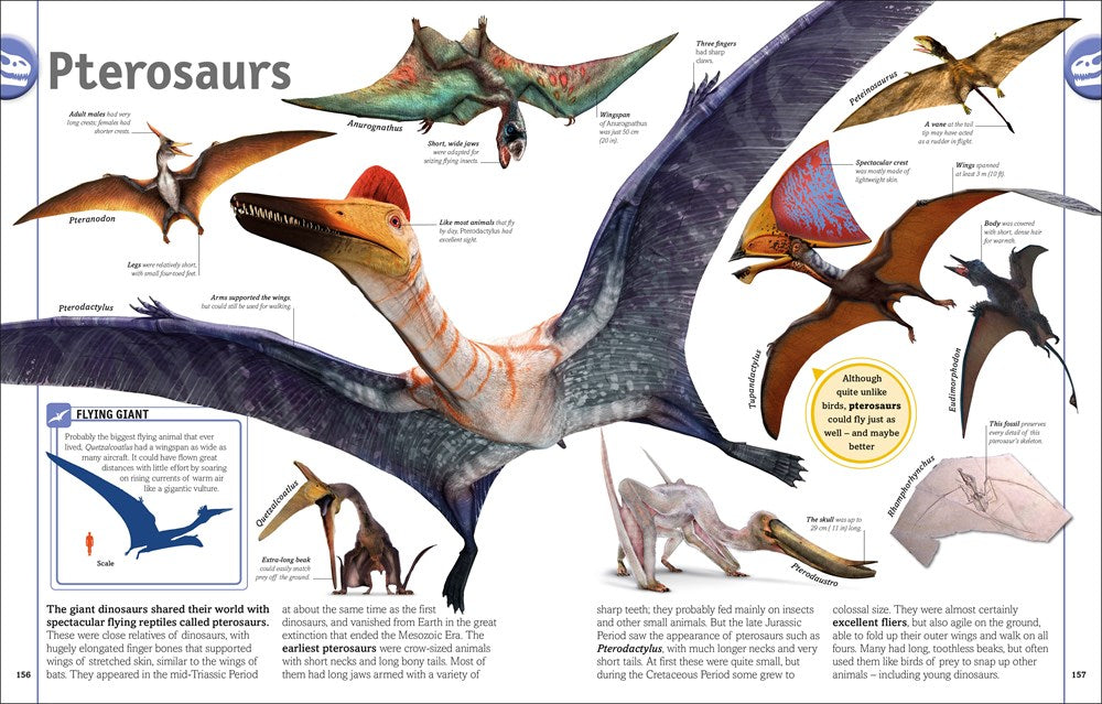 The Dinosaur Book: And Other Wonders of the Prehistoric World