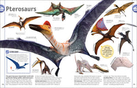 The Dinosaur Book: And Other Wonders of the Prehistoric World