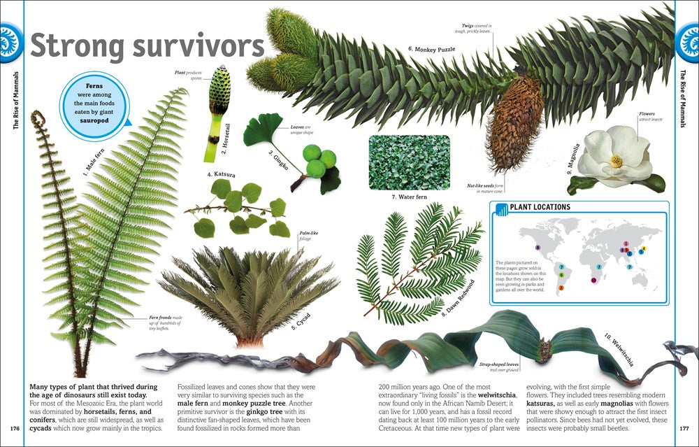 The Dinosaur Book: And Other Wonders of the Prehistoric World