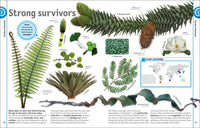 The Dinosaur Book: And Other Wonders of the Prehistoric World