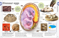 The Dinosaur Book: And Other Wonders of the Prehistoric World