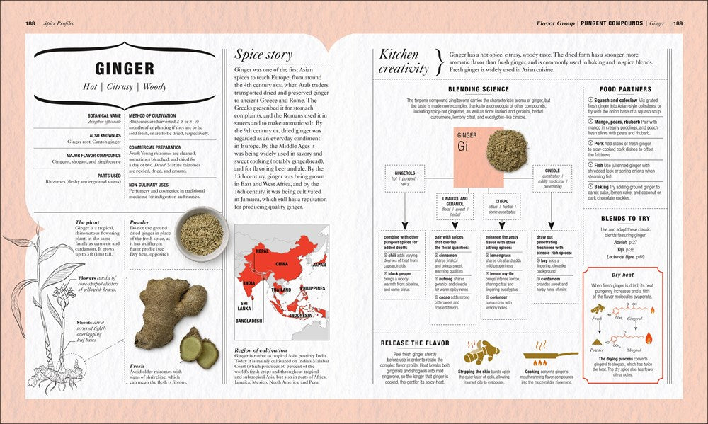 The Science of Spice: Understand Flavor Connections and Revolutionize Your Cooking