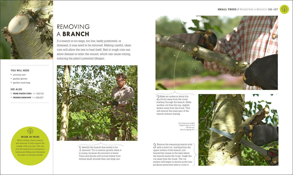 Beginner Gardening Step by Step