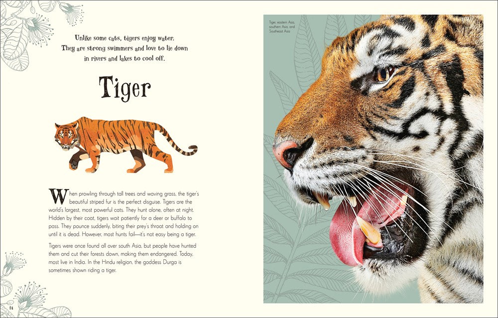 An Anthology of Intriguing Animals