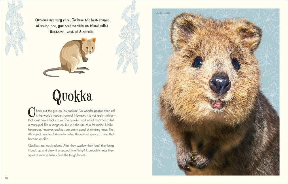 An Anthology of Intriguing Animals