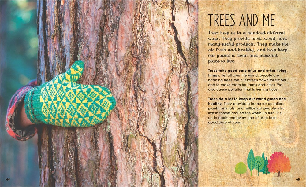 The Magic and Mystery of Trees