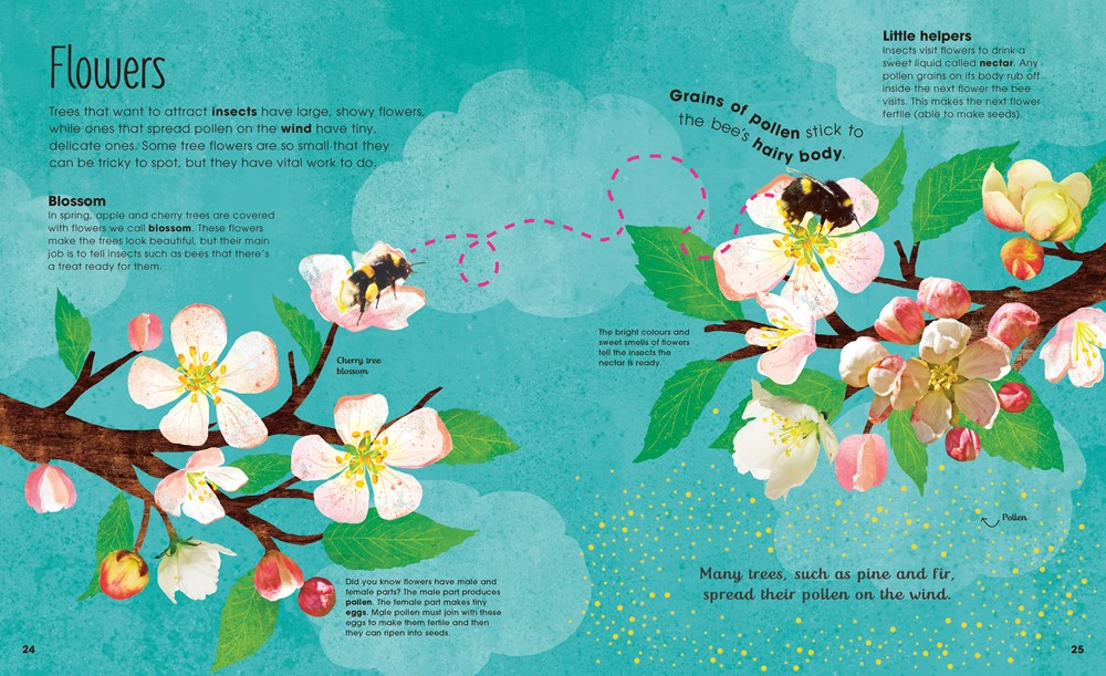 The Magic and Mystery of Trees