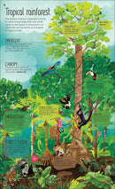 The Magic and Mystery of Trees