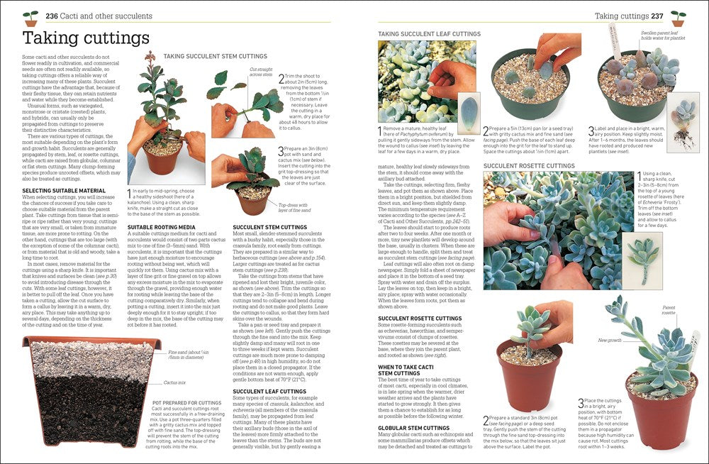 Propagating Plants