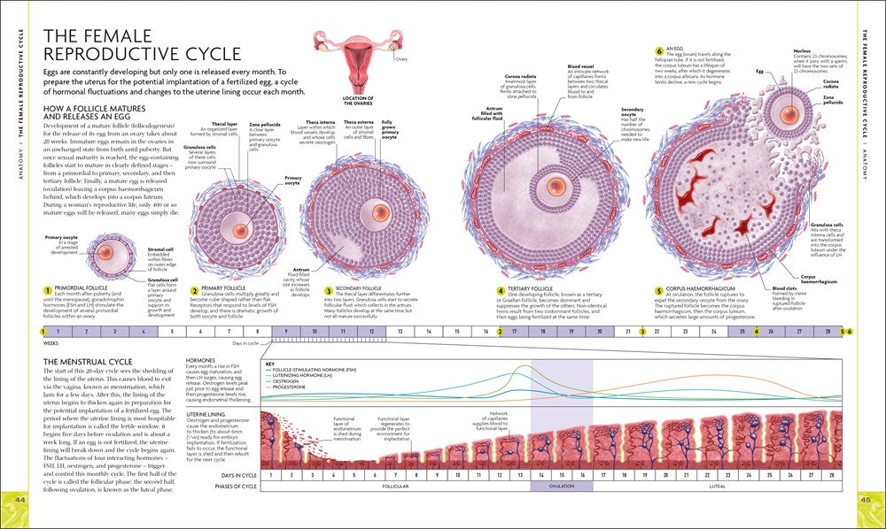 The Science of Pregnancy