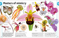 Trees, Leaves, Flowers and Seeds: A Visual Encyclopedia of the Plant Kingdom