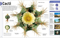 Trees, Leaves, Flowers and Seeds: A Visual Encyclopedia of the Plant Kingdom