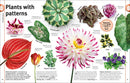 Trees, Leaves, Flowers and Seeds: A Visual Encyclopedia of the Plant Kingdom