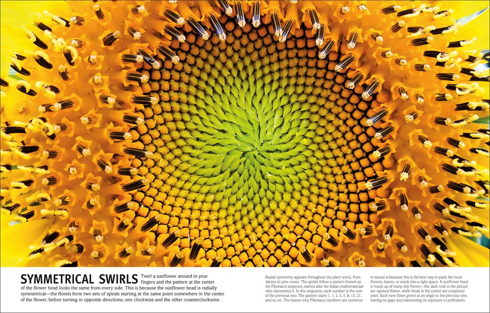 Trees, Leaves, Flowers and Seeds: A Visual Encyclopedia of the Plant Kingdom