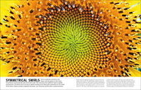 Trees, Leaves, Flowers and Seeds: A Visual Encyclopedia of the Plant Kingdom