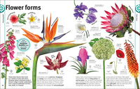 Trees, Leaves, Flowers and Seeds: A Visual Encyclopedia of the Plant Kingdom