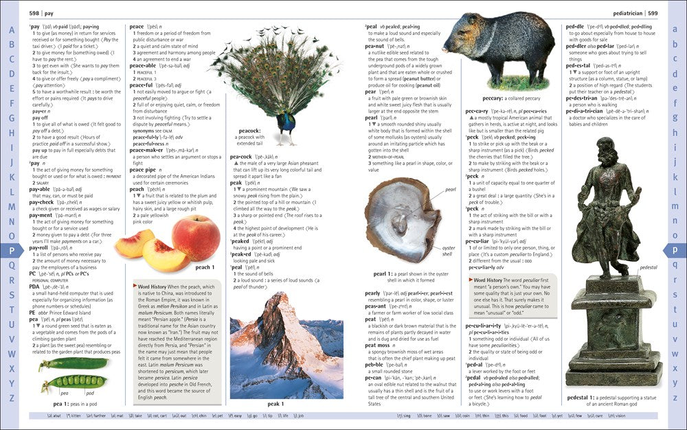 Merriam-Webster Children's Dictionary, New Edition: Features 3,000 Photographs and Illustrations