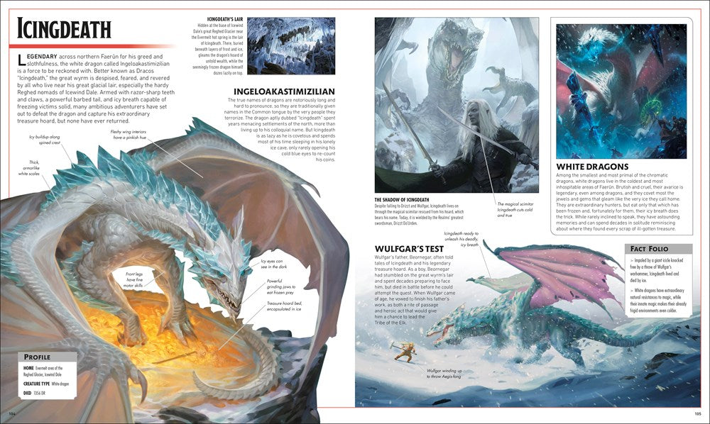 Dungeons and Dragons The Legend of Drizzt Visual Dictionary