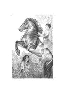 A Pocketful of Crows