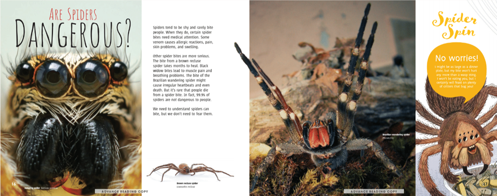 Scurry! The Truth About Spiders