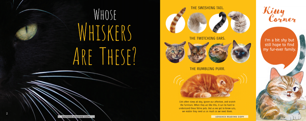 Meow! The Truth About Cats