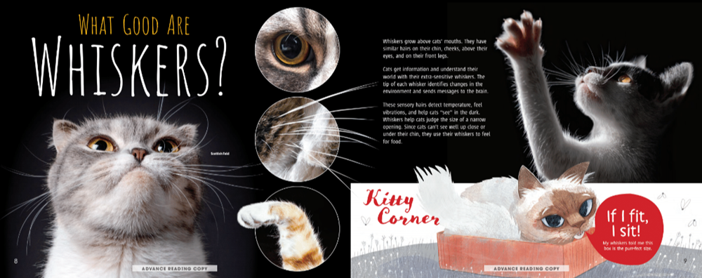 Meow! The Truth About Cats