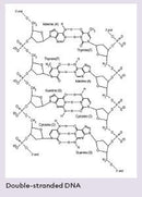 What's in Your Genome?