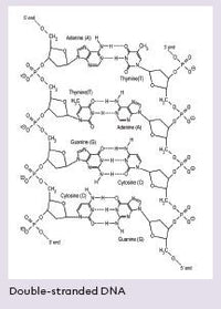 What's in Your Genome?