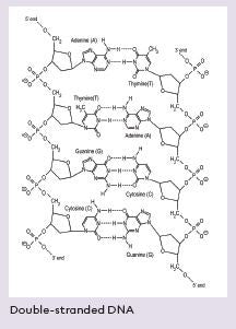 What's in Your Genome?